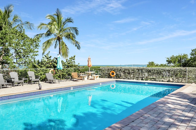 view of swimming pool featuring a patio area