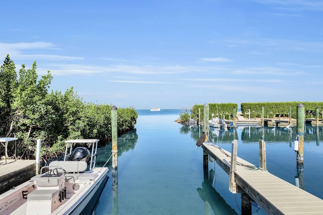 dock area with a water view