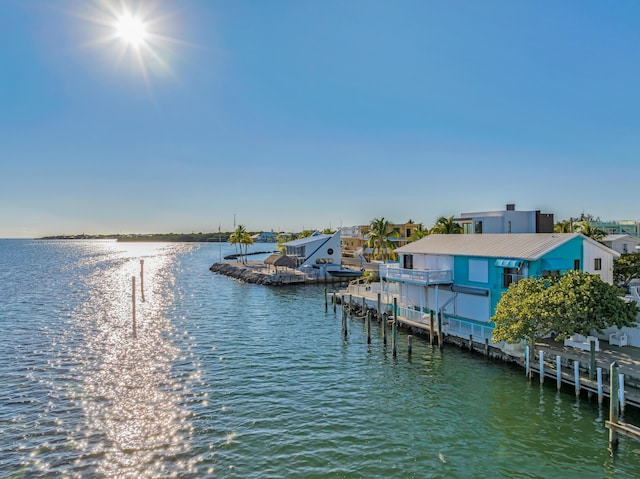 dock area with a water view