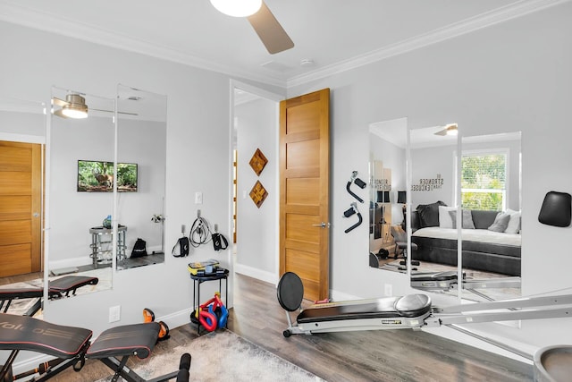 17346 Keystone Rd, Sugarloaf, FL 33042 - workout area featuring crown molding, baseboards, a ceiling fan, and wood finished floors