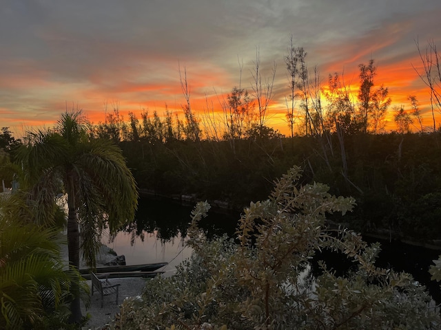 view of nature at dusk