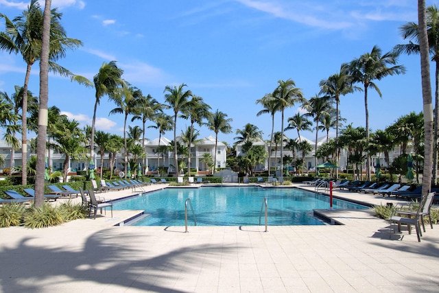 view of swimming pool featuring a patio area