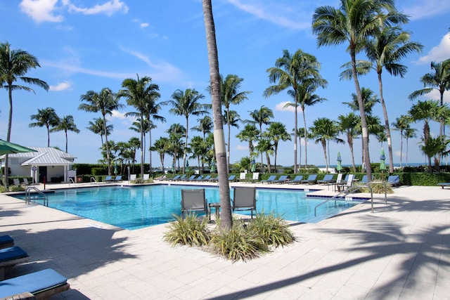 view of pool with a patio