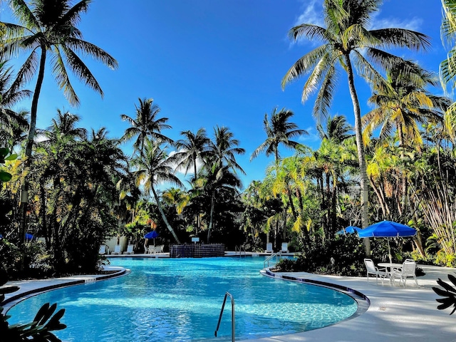 48 Merganser Ln, Key West, FL 33040 - community pool with a patio area