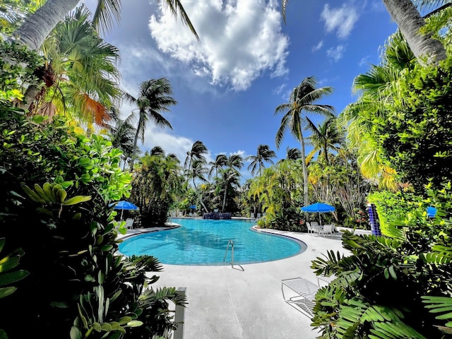 48 Merganser Ln, Key West, FL 33040 - community pool with a patio