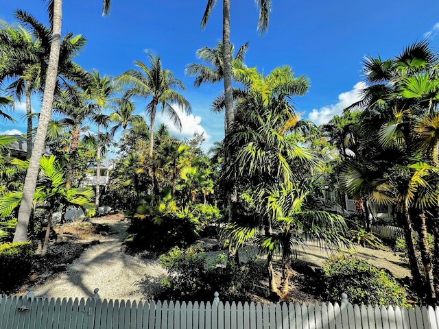 48 Merganser Ln, Key West, FL 33040 - view of fenced yard