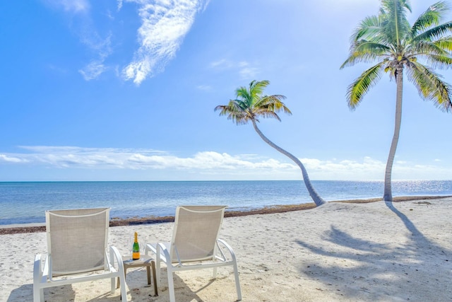 view of water feature with a beach view