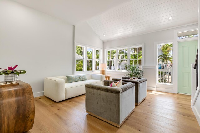 1114 Grinnell St, Key West, FL 33040 - living area featuring light wood finished floors, vaulted ceiling, and wood ceiling