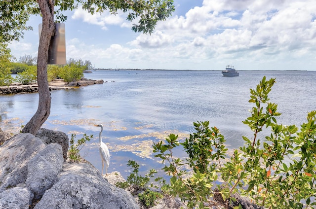 water view