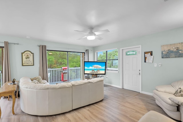 living room with ceiling fan and light wood-type flooring