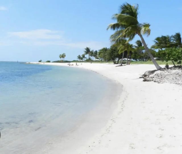 property view of water featuring a beach view