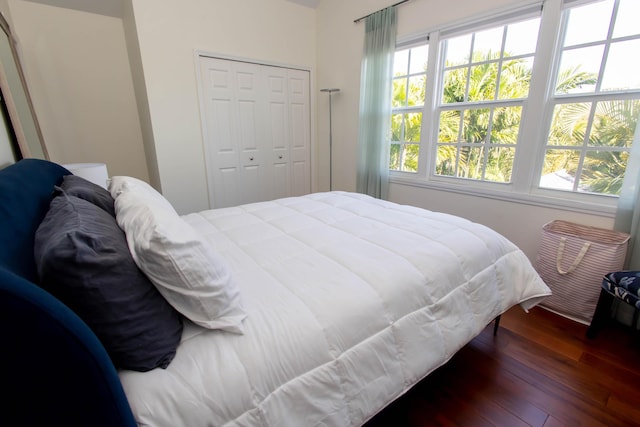 bedroom featuring dark hardwood / wood-style flooring and a closet