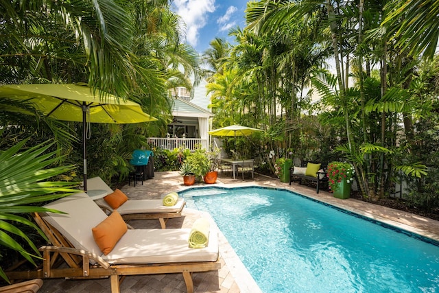 view of swimming pool with a patio area