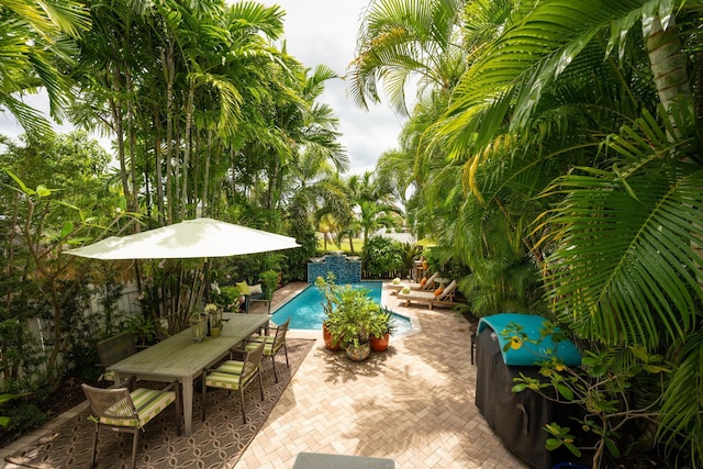 view of swimming pool featuring a patio area