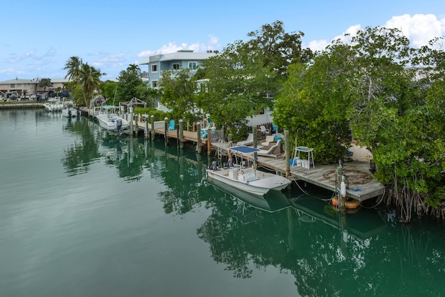 dock area featuring a water view