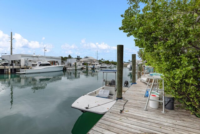 dock area with a water view