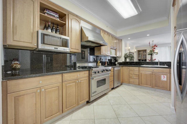 kitchen featuring sink, crown molding, ventilation hood, appliances with stainless steel finishes, and dark stone counters