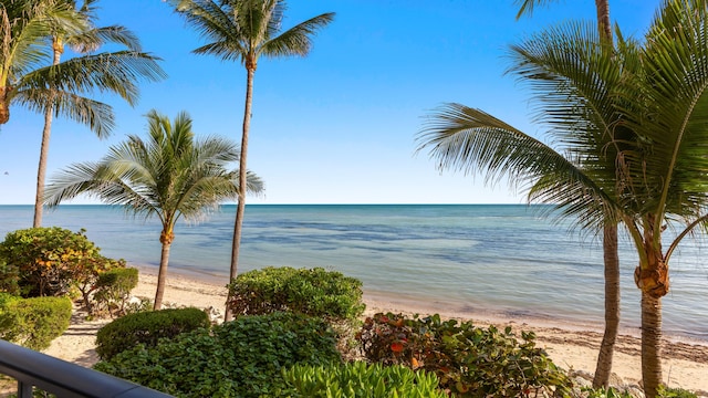 property view of water with a beach view