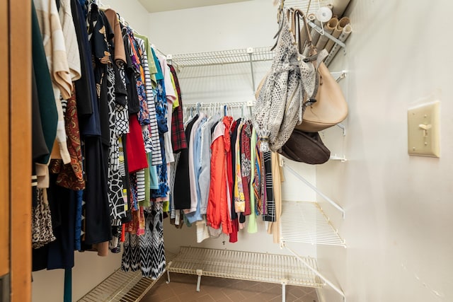 view of spacious closet