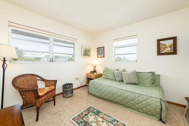 view of carpeted bedroom