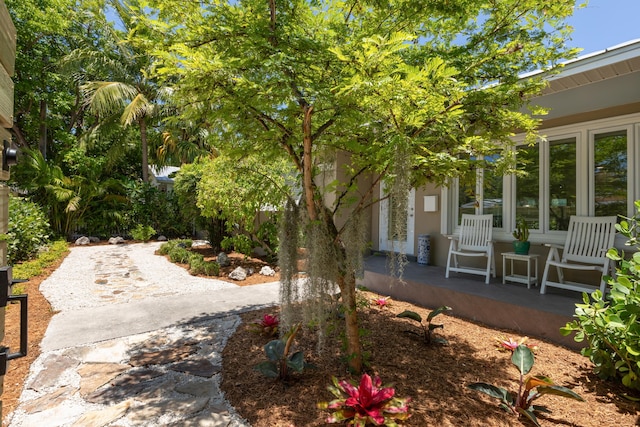 1706 Seminary St, Key West, FL 33040 - view of yard