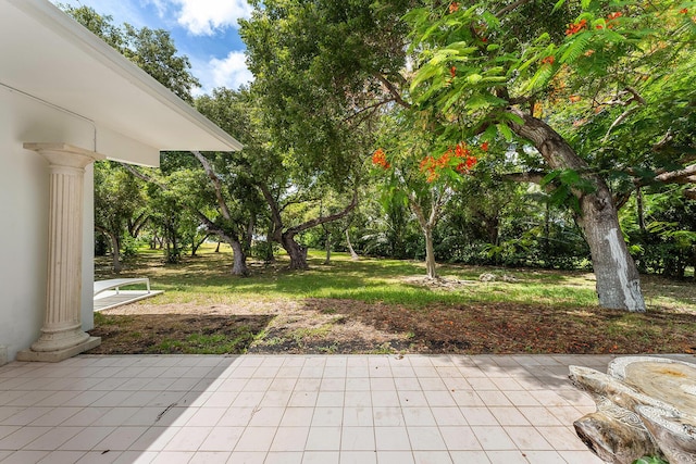 view of yard featuring a patio area