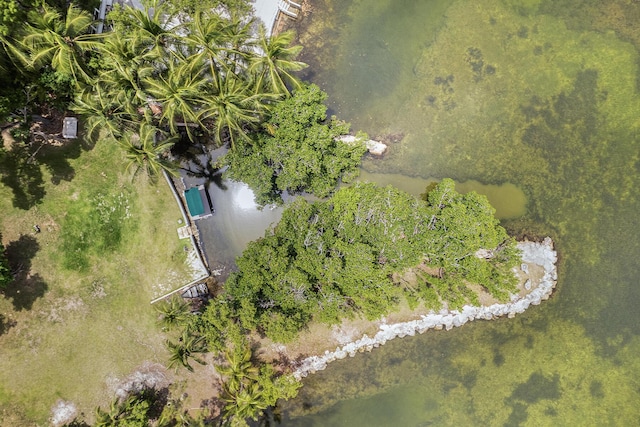 bird's eye view featuring a water view