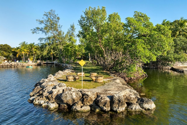 view of water feature