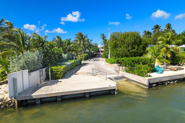 dock area with a water view