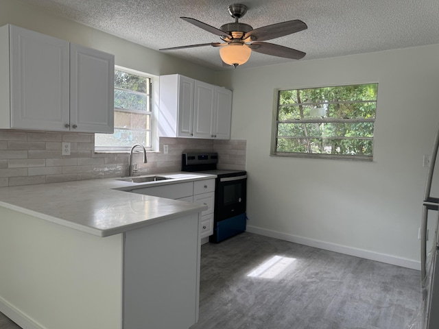 220 W Indies Rd, Tavernier, FL 33070 - kitchen with stainless steel electric stove, backsplash, light wood-type flooring, light countertops, and a peninsula