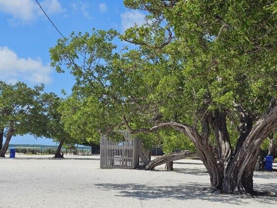 220 W Indies Rd, Tavernier, FL 33070 - surrounding community