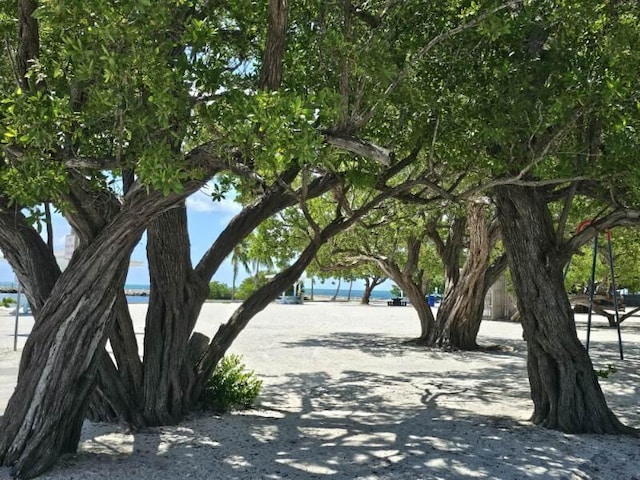 220 W Indies Rd, Tavernier, FL 33070 - view of community