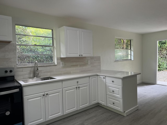 220 W Indies Rd, Tavernier, FL 33070 - kitchen with stainless steel electric range, light wood finished floors, tasteful backsplash, and light countertops