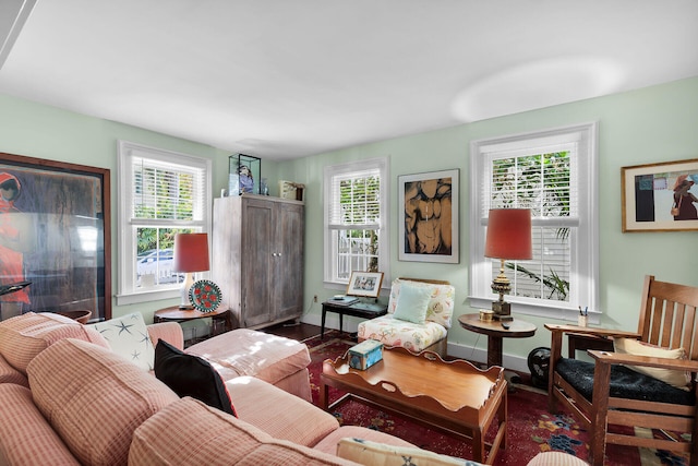 living room with hardwood / wood-style floors and a wealth of natural light