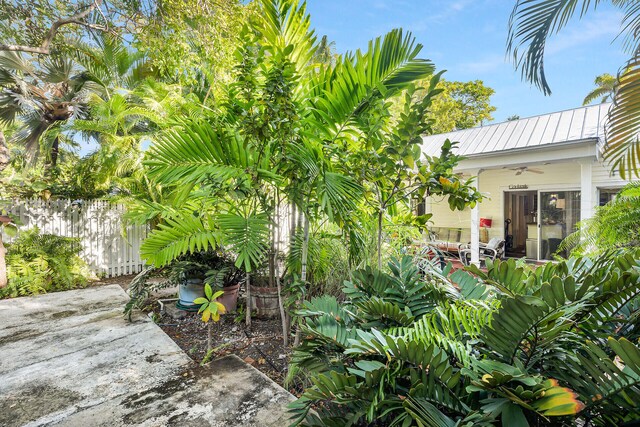 view of yard with ceiling fan