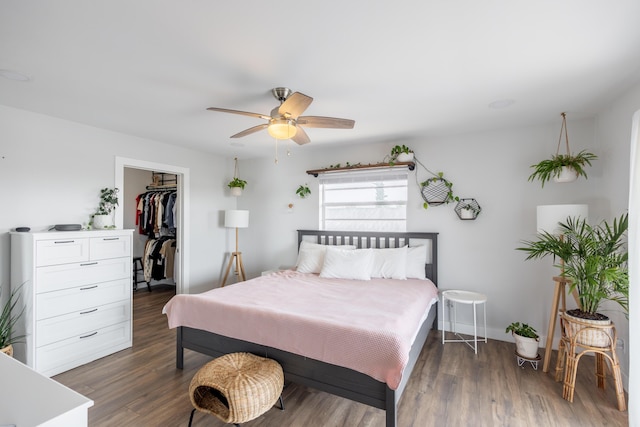 bedroom featuring ceiling fan, dark hardwood / wood-style flooring, a closet, and a spacious closet