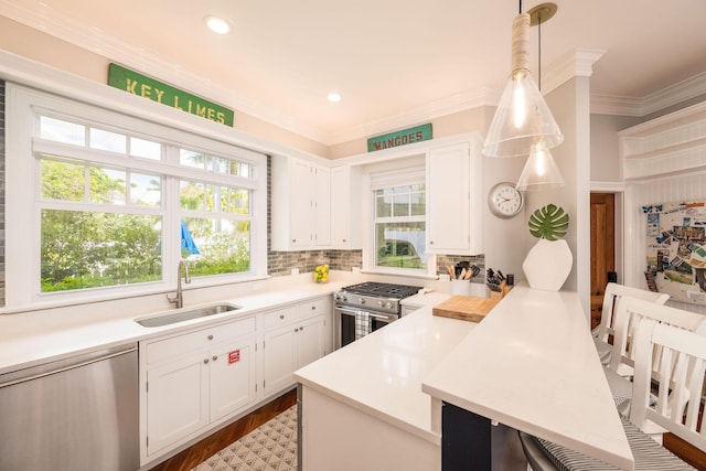106 Admirals Ln, Key West, FL 33040 - kitchen featuring appliances with stainless steel finishes, a sink, a peninsula, ornamental molding, and decorative backsplash