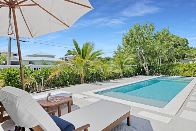 view of swimming pool with a patio area