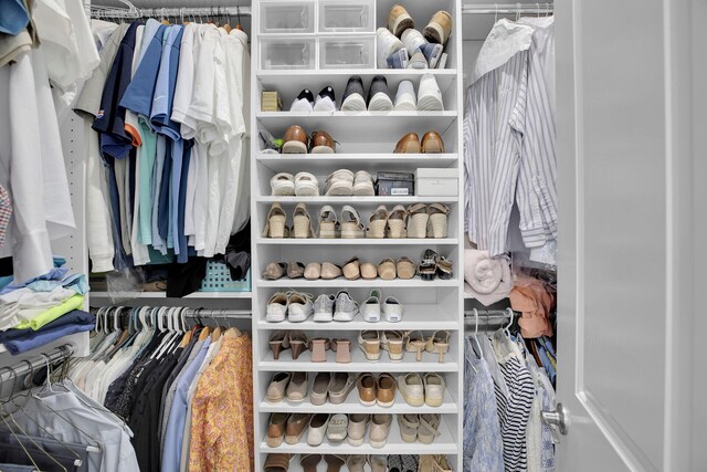 view of spacious closet