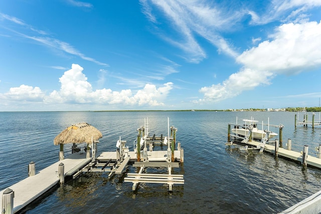 dock area with a water view