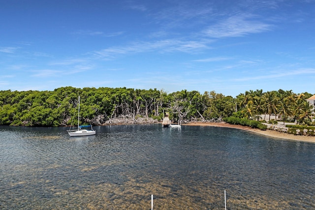 view of water feature with a floating dock