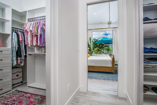 walk in closet featuring light hardwood / wood-style floors