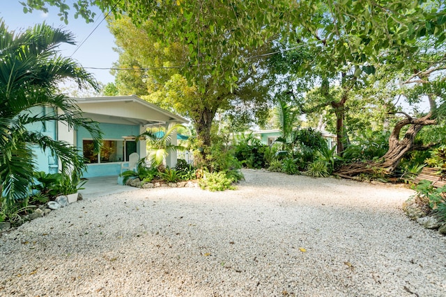 view of yard with gravel driveway