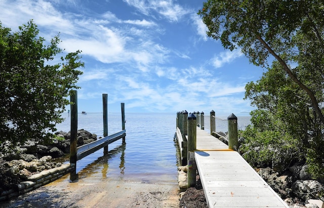 dock area with a water view