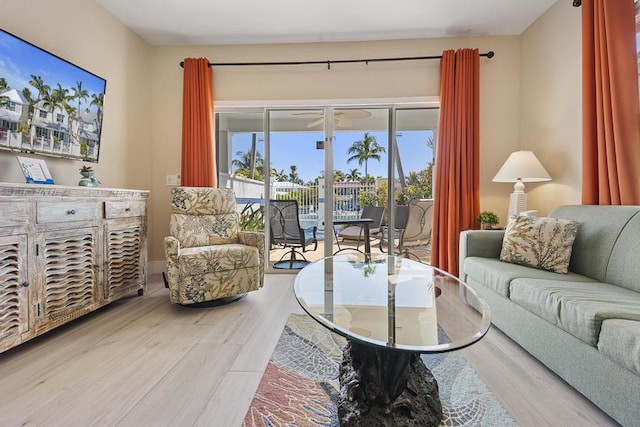 living room featuring hardwood / wood-style flooring