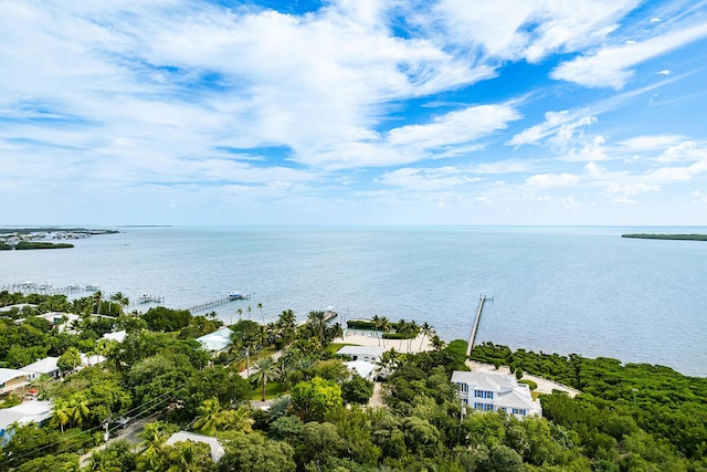 198 Lowe St, Tavernier, FL 33070 - photo 99
