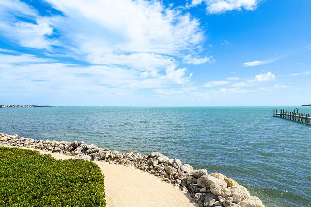 view of water feature featuring a boat dock