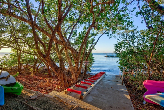 view of yard featuring a water view and a dock