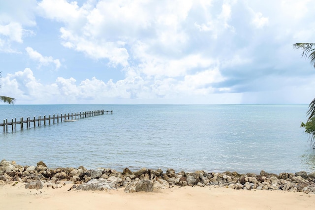 water view with a boat dock