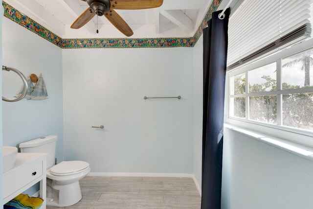 bathroom with vanity, ceiling fan, and toilet